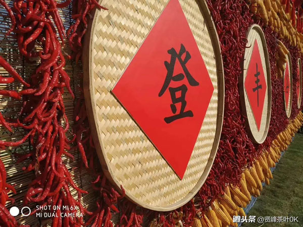 中國首屆農(nóng)民豐收節(jié)今天正式拉開帷幕