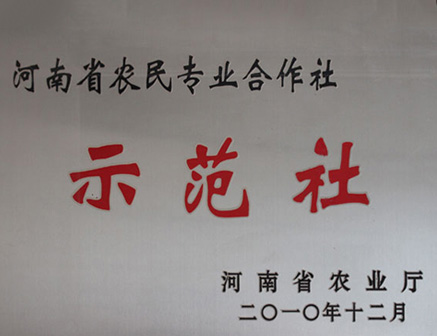 河南省民農(nóng)專業(yè)合作社示范社